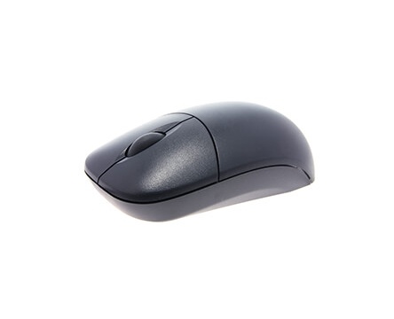 Muis